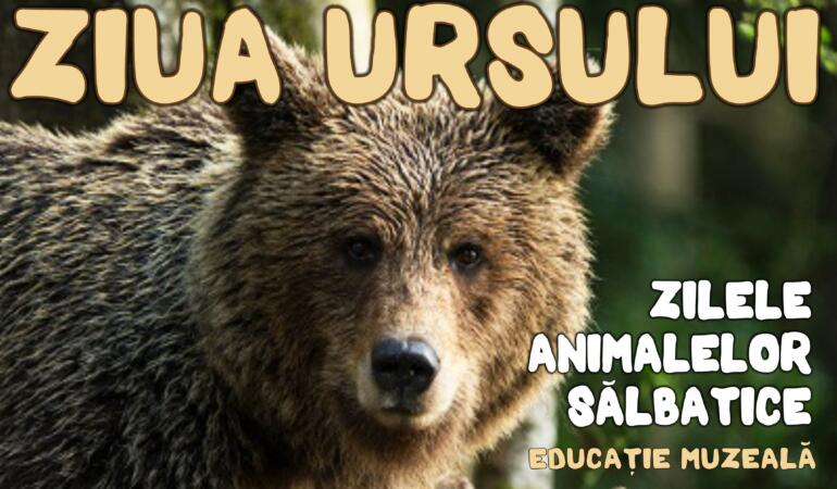 Muzeul de Științele Naturii vă invită la Proiectul educațional Ziua Ursului
