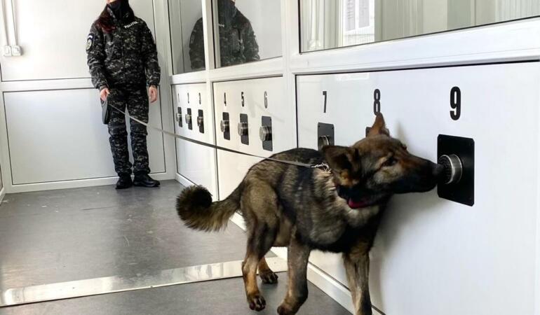 Primul echipaj canin antrenat pentru depistarea SARS-CoV-2 pe Aeroportul Sibiu