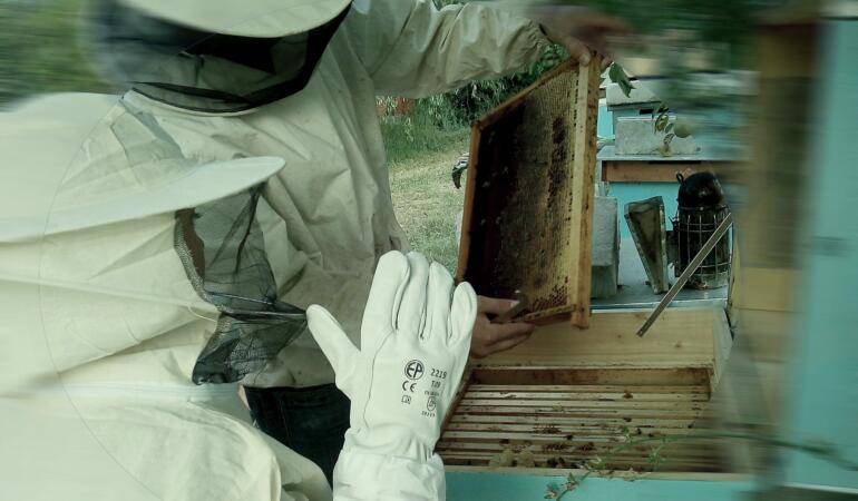 O meserie care salvează planeta. Ce face un apicultor ne spune Horațiu Christian Pavelescu