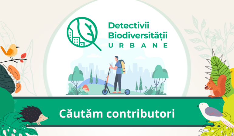 Cum puteți deveni „Detectivii biodiversității urbane” la Timișoara. Se face harta florei și faunei orașului