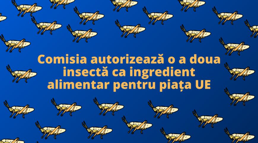 O nouă insectă în dieta noastră