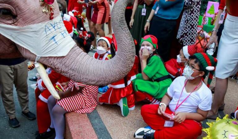 Elefanţi Moş Crăciun în Thailanda. Ce au primit copiii