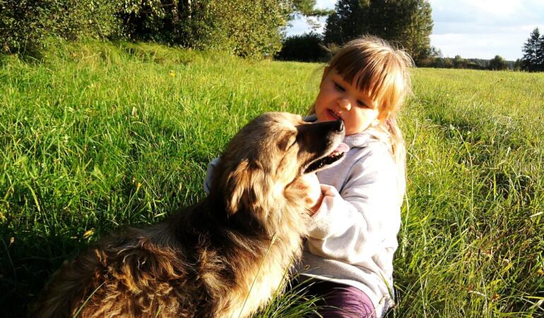 O fetiță din Rusia a supraviețuit viscolului cu ajutorul unui câine