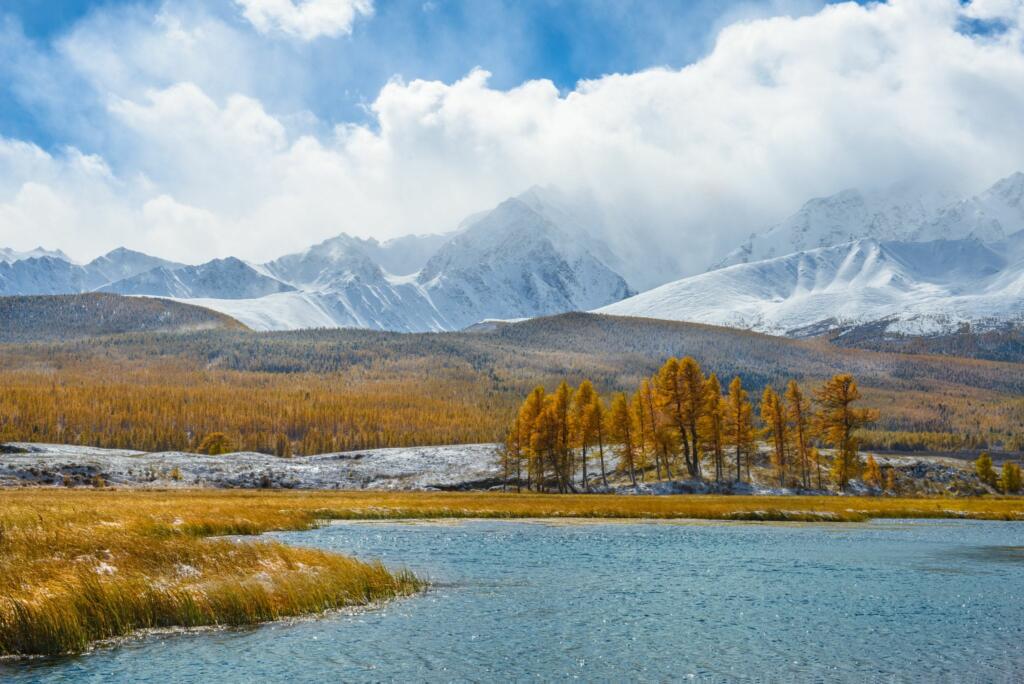 Republica Altai