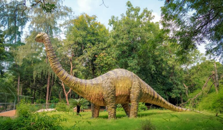 „Ultimii dinozauri din Transilvania”, o expoziție temporară la Complexul Muzeal Național Neamț
