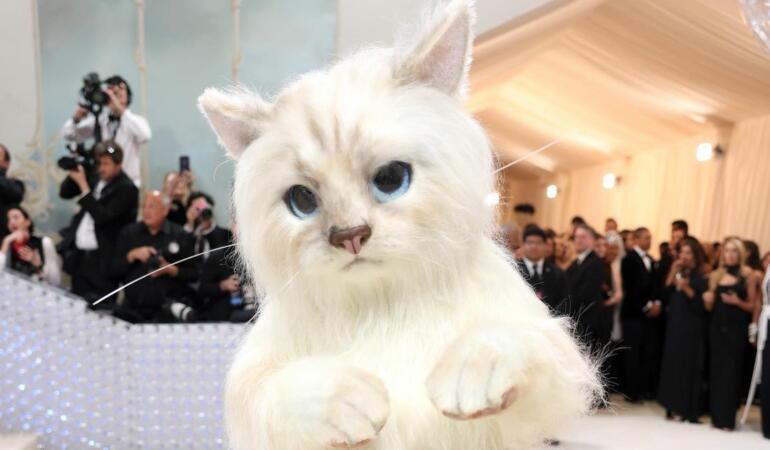 PRIN LUMEA MODEI. Modă în formă de pisică. Vedetele s-au inspirat din Choupette, pisica lui Karl Lagerfeld