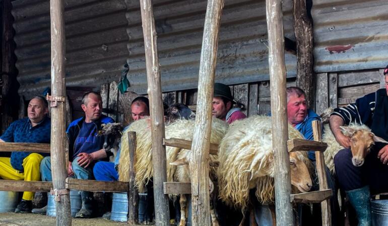 Locuri de poveste din România. Ați auzit de „măsuratul oilor”? Unitatea de măsură e cea pentru lichide