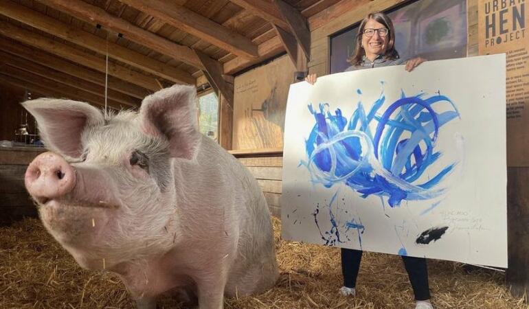 Duo artistic surprinzător. Porcușorul Pigcasso pictează pentru o cauză nobilă