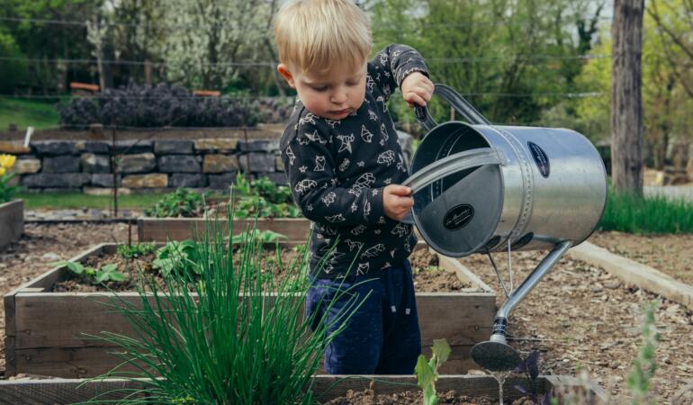 Fiecare copil poate avea propria grădină. Activitate în familie