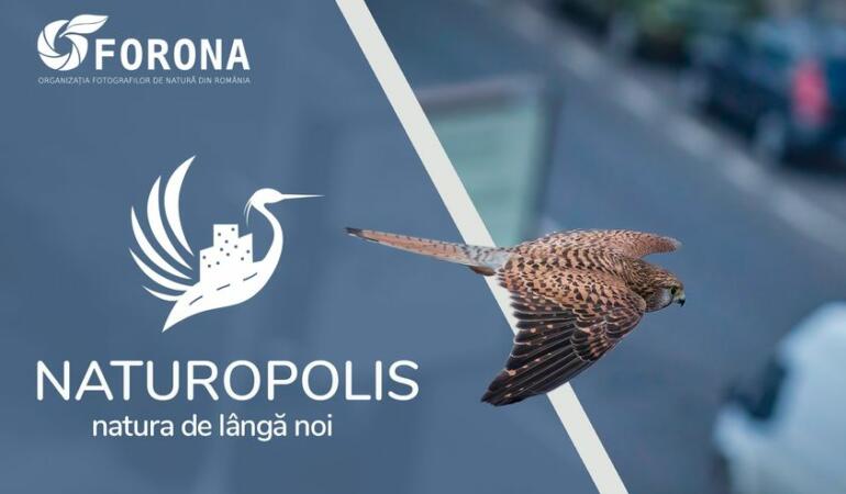 „Naturopolis”, un concurs de fotografie de natură urbană. Premii în bani