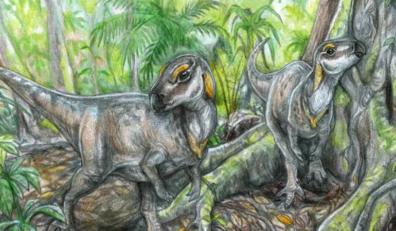 Fosile de dinozaur, unice în lume, descoperite de cercetători în România