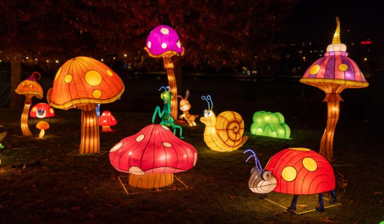 „The Glowing Garden” – personaje din basme și animale magice, la Timișoara