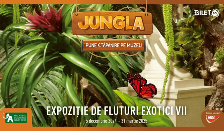 S-a deschis expoziția de fluturi vii la Muzeul Antipa. Fluturele împărat, cel mai mare