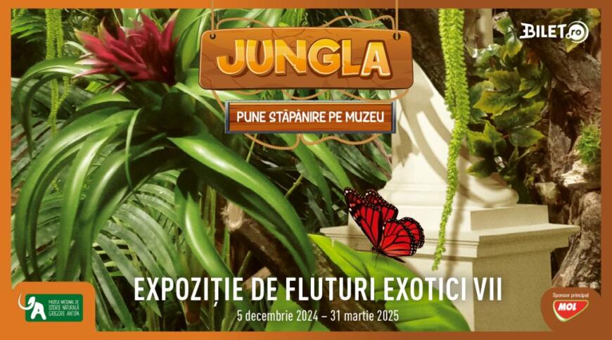 S-a deschis expoziția de fluturi vii la Muzeul Antipa. Fluturele împărat, cel mai mare