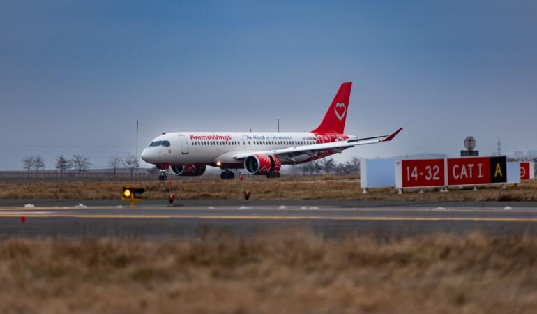 AnimaWings zboară la Istanbul și Dubai
