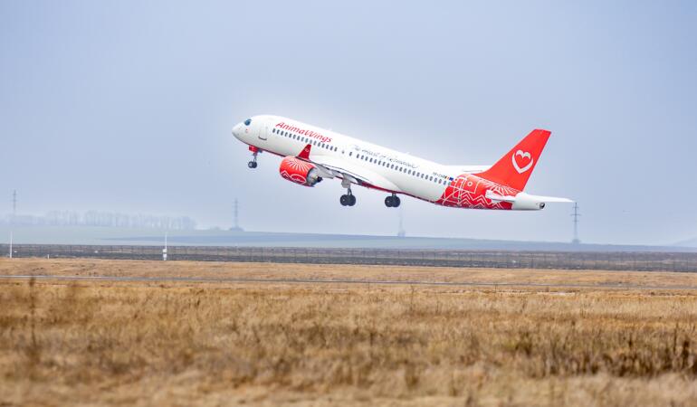 Călătorii ieftine cu avionul, ne pregătim de vacanță. Reduceri substanțiale la AnimaWings