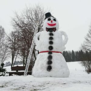 Personaje din desene animate și viruși de... zăpadă